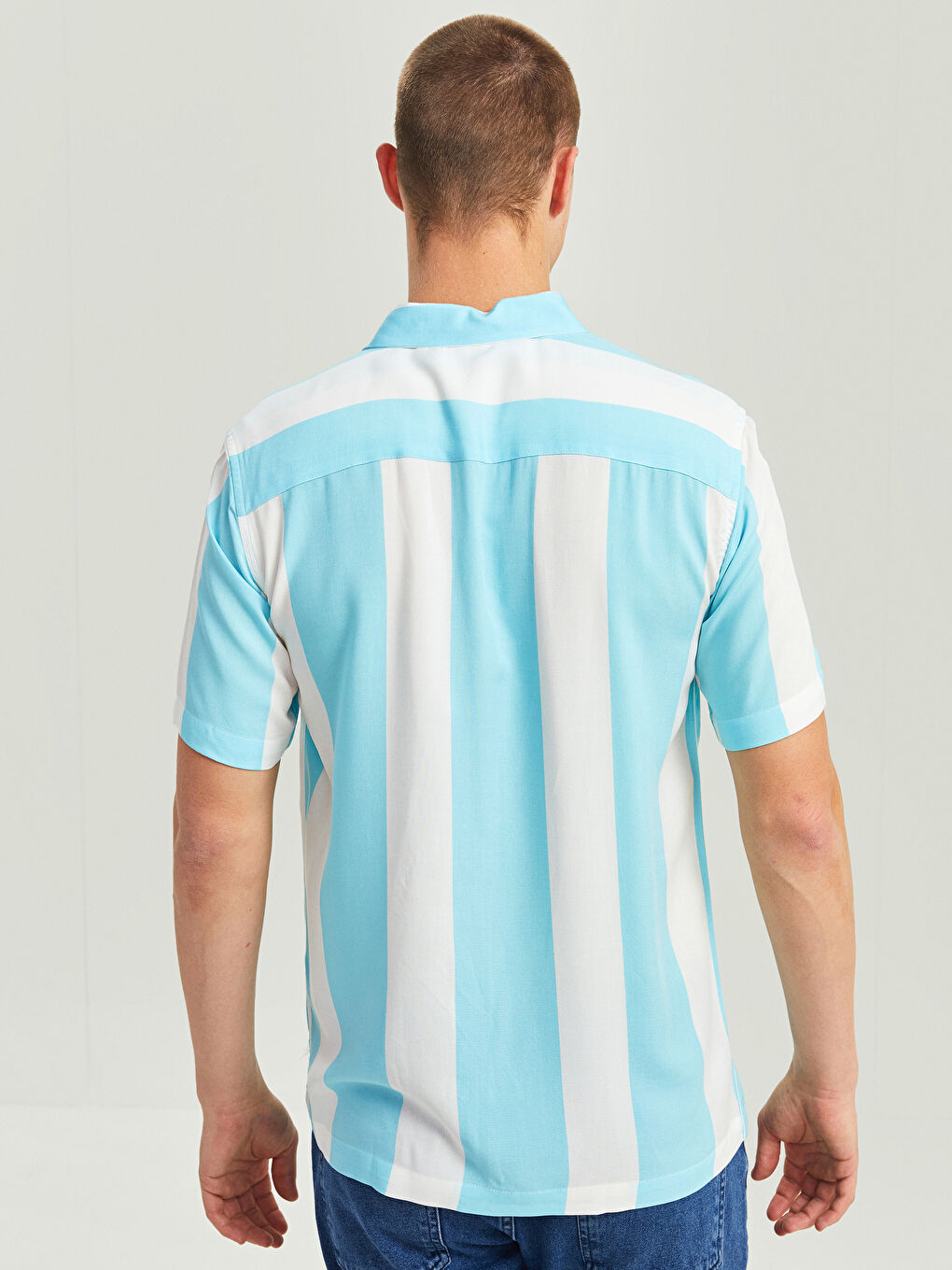 Regular Fit Short Sleeve Striped Men's Shirt-4