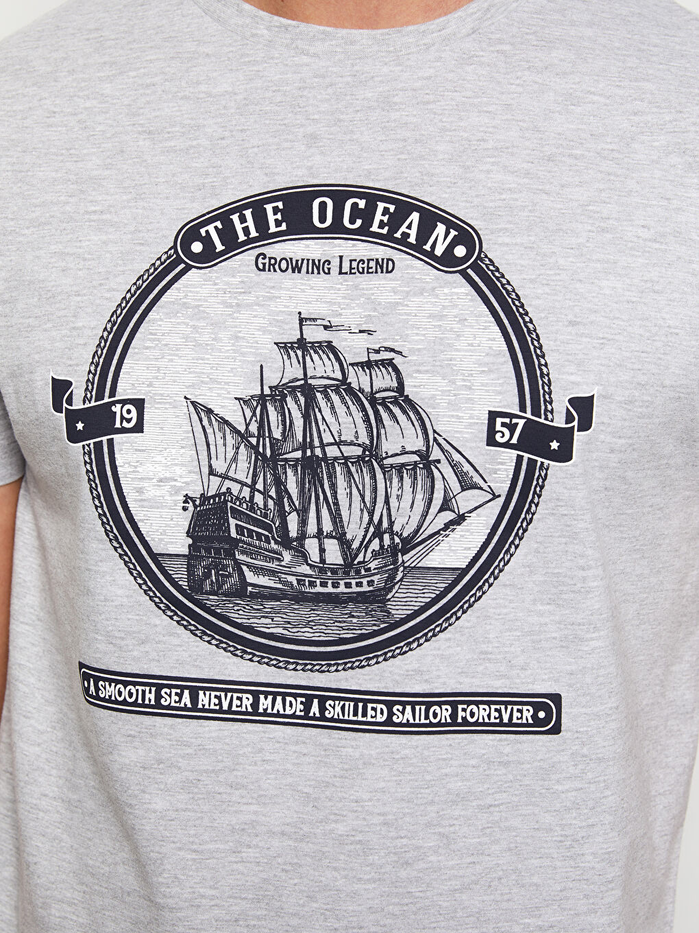 Gri Bisiklet Yaka Kısa Kollu Baskılı Erkek Tişört-3