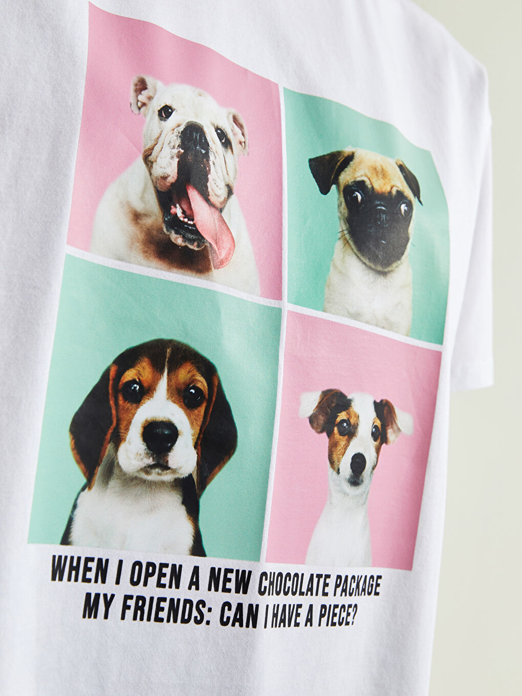 Beyaz Bisiklet Yaka Baskılı Kısa Kollu Pamuklu Kadın Tişört-2