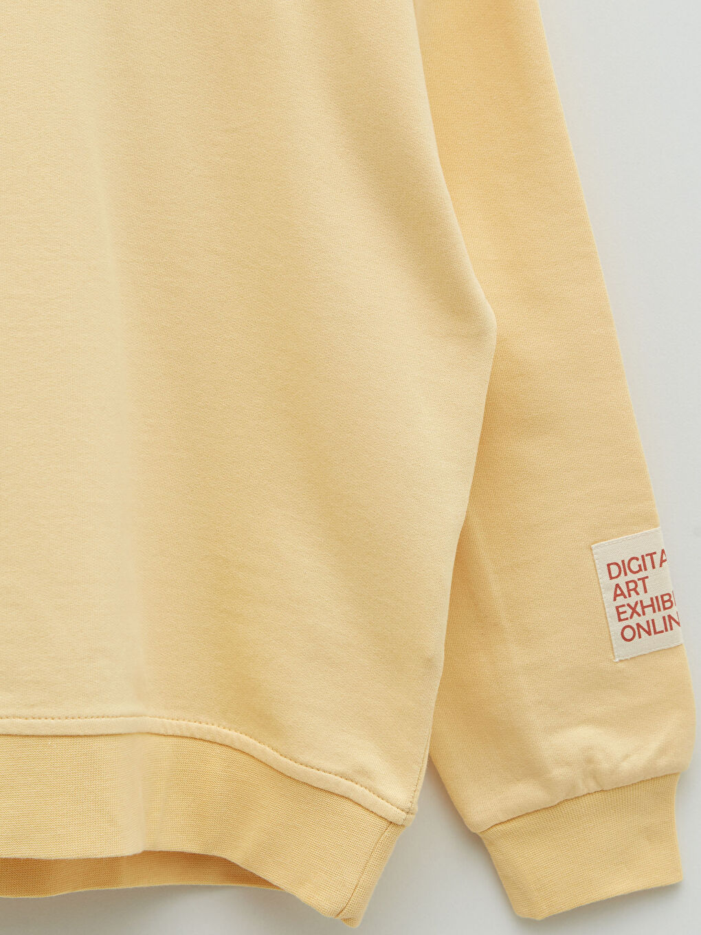 Sweat-shirt Basique À Capuche Manches Longues Garçon-2