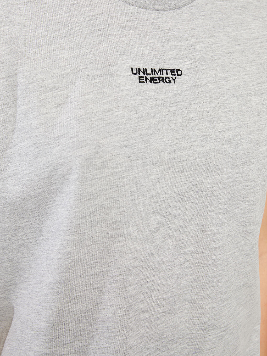 Gri Bisiklet Yaka Nakışlı Kısa Kollu Pamuklu Kadın Tişört-3