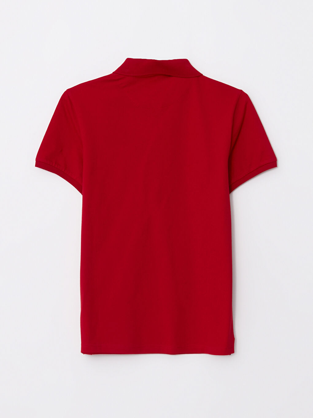 Kırmızı Polo Yaka Nakışlı Kısa Kollu Kadın Tişört-1