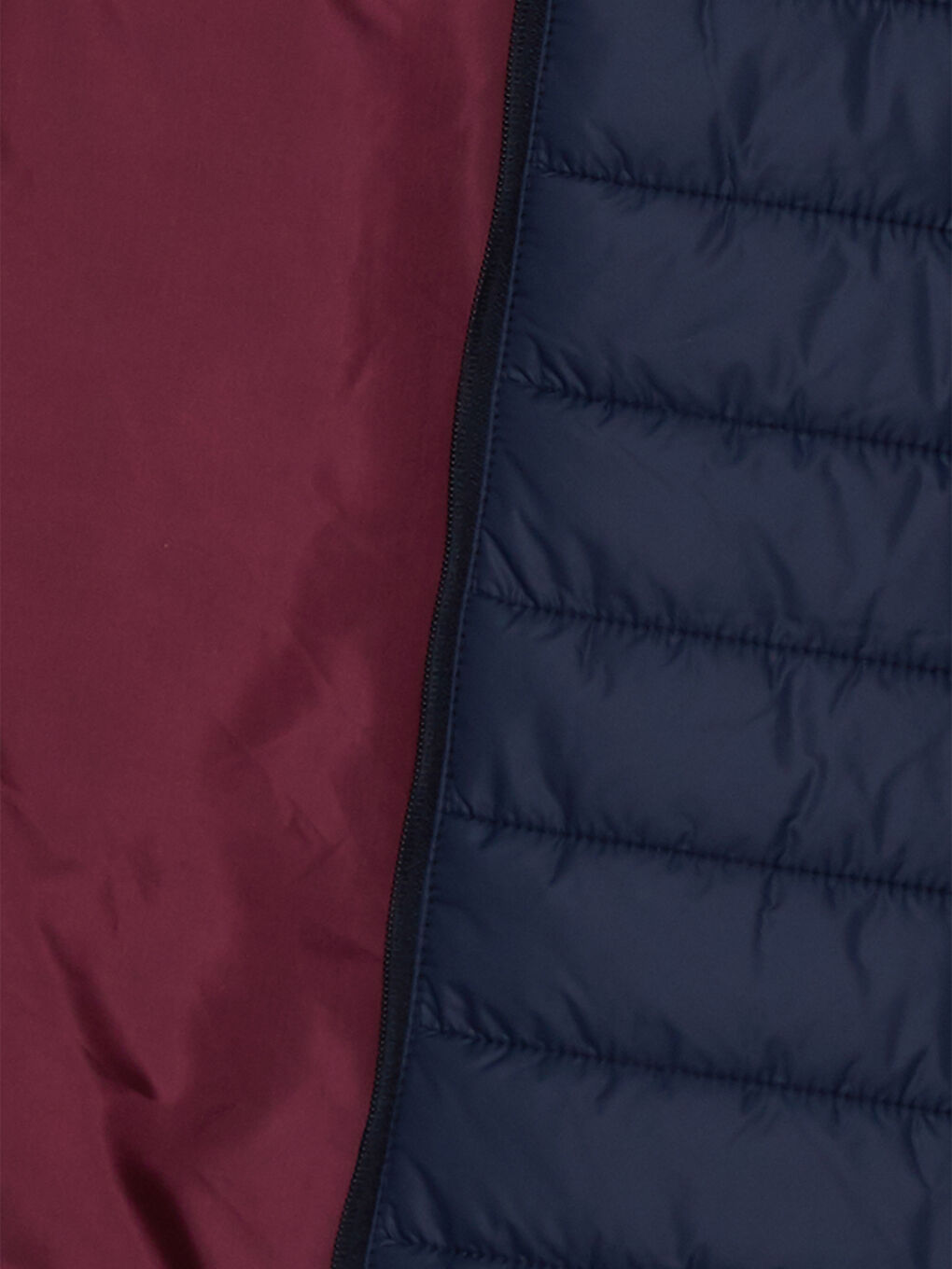 Lacivert Standart Kalıp Dik Yaka Erkek Şişme Mont-8