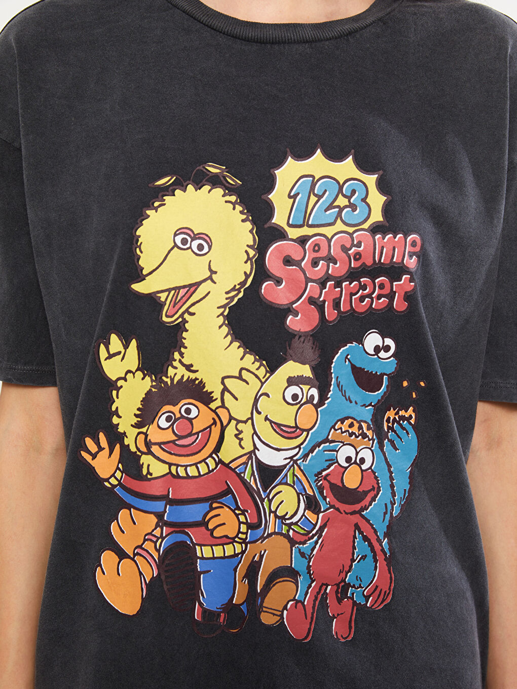 Round Neck Sesame Street Printed Short Sleeve Cotton Women's T-Shirt -S2L044Z8-DC4