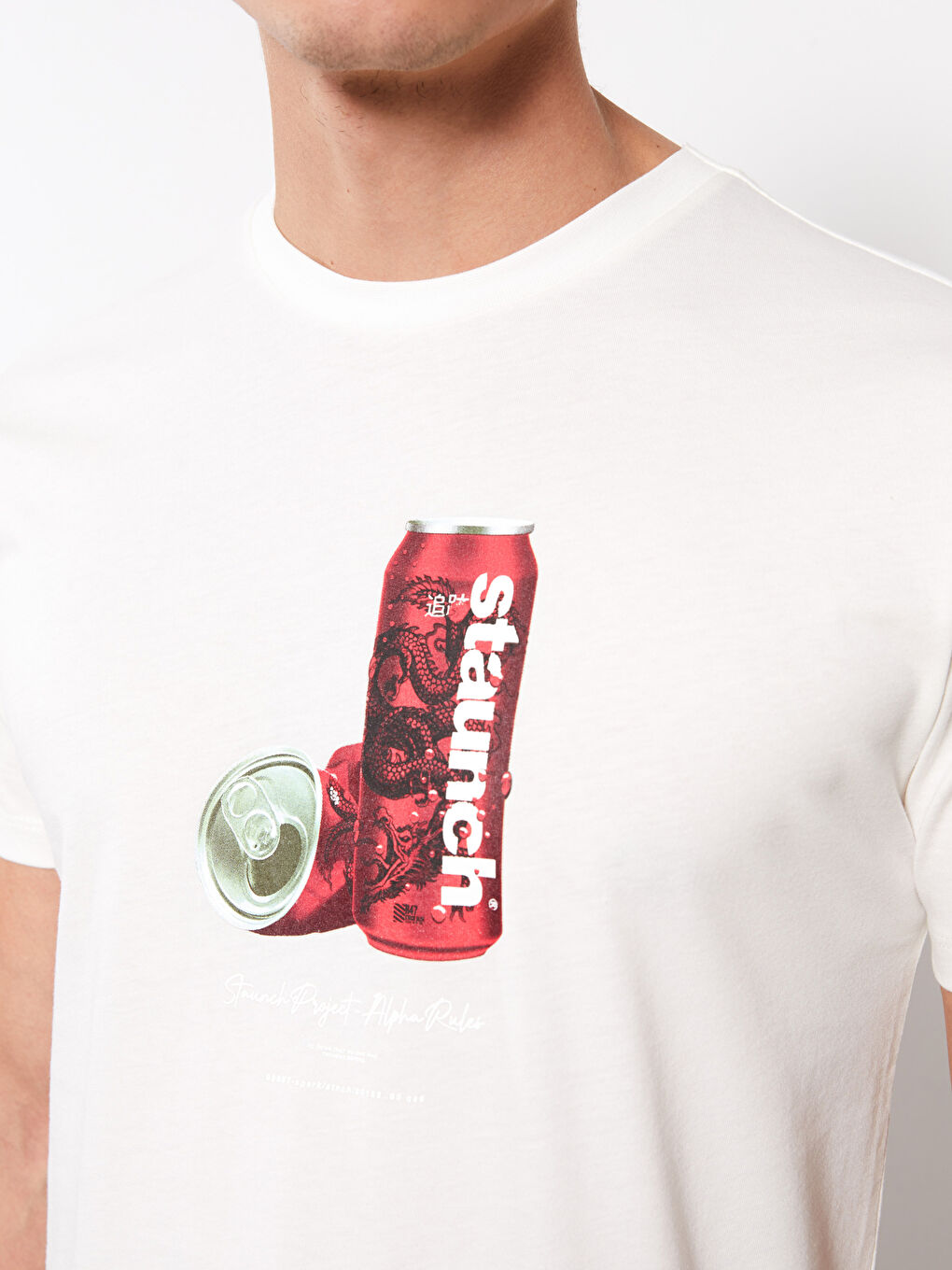 Beyaz Bisiklet Yaka Kısa Kollu Baskılı Penye Erkek Tişört-3