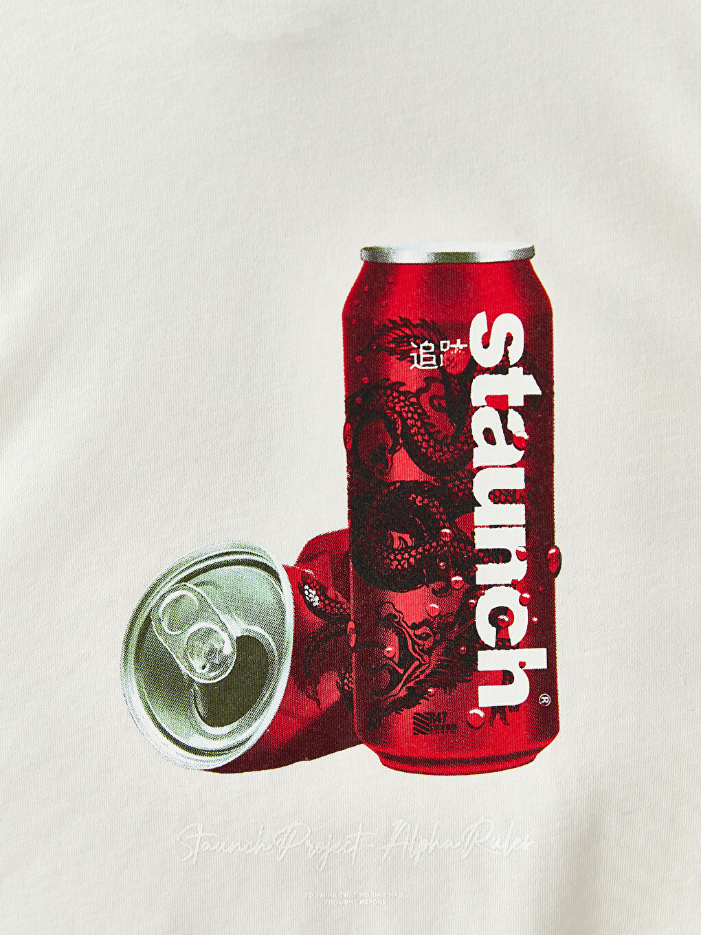 Beyaz Bisiklet Yaka Kısa Kollu Baskılı Penye Erkek Tişört-6