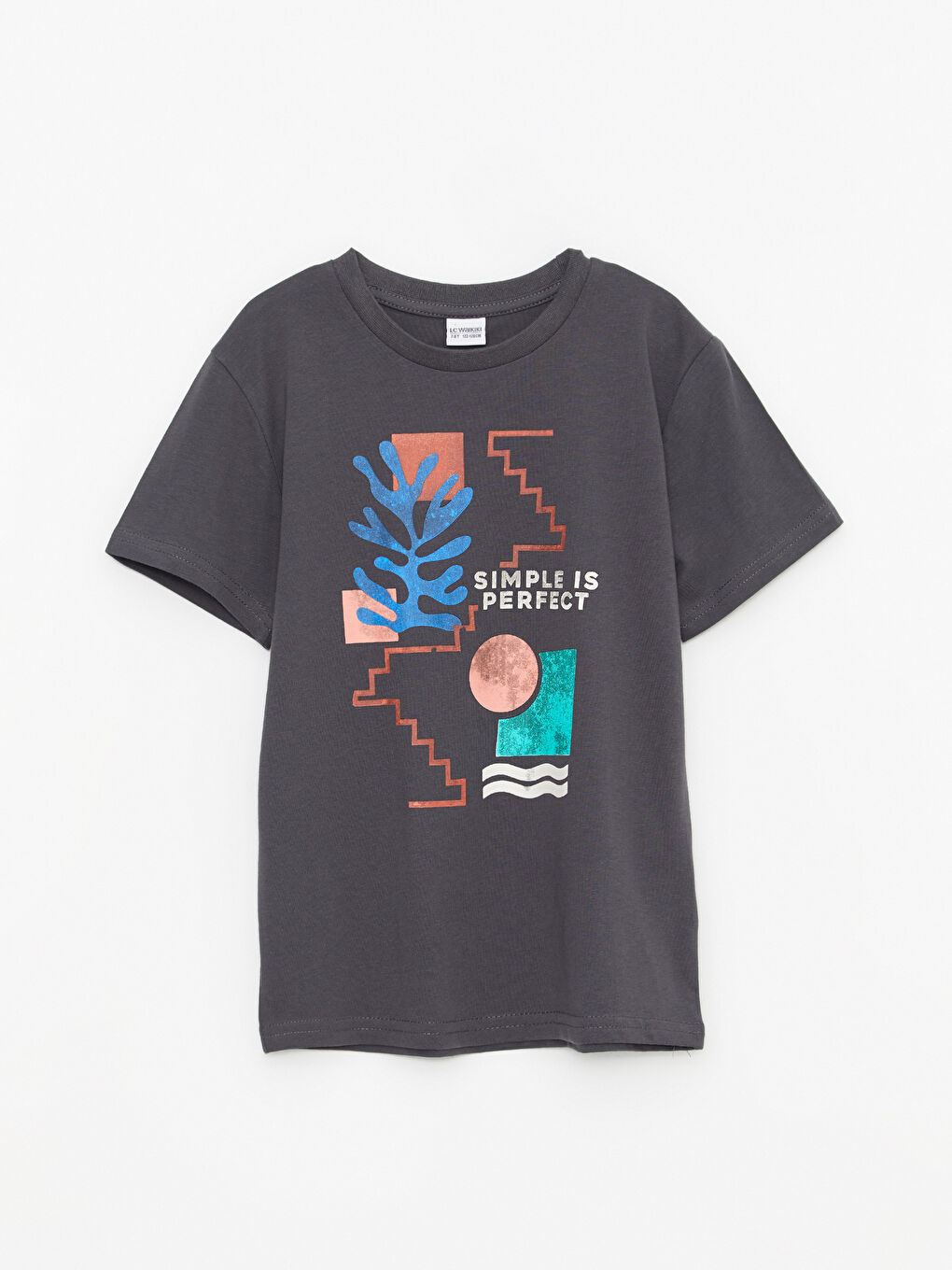 Gri Bisiklet Yaka Baskılı Kısa Kollu Pamuklu Erkek Çocuk Tişört