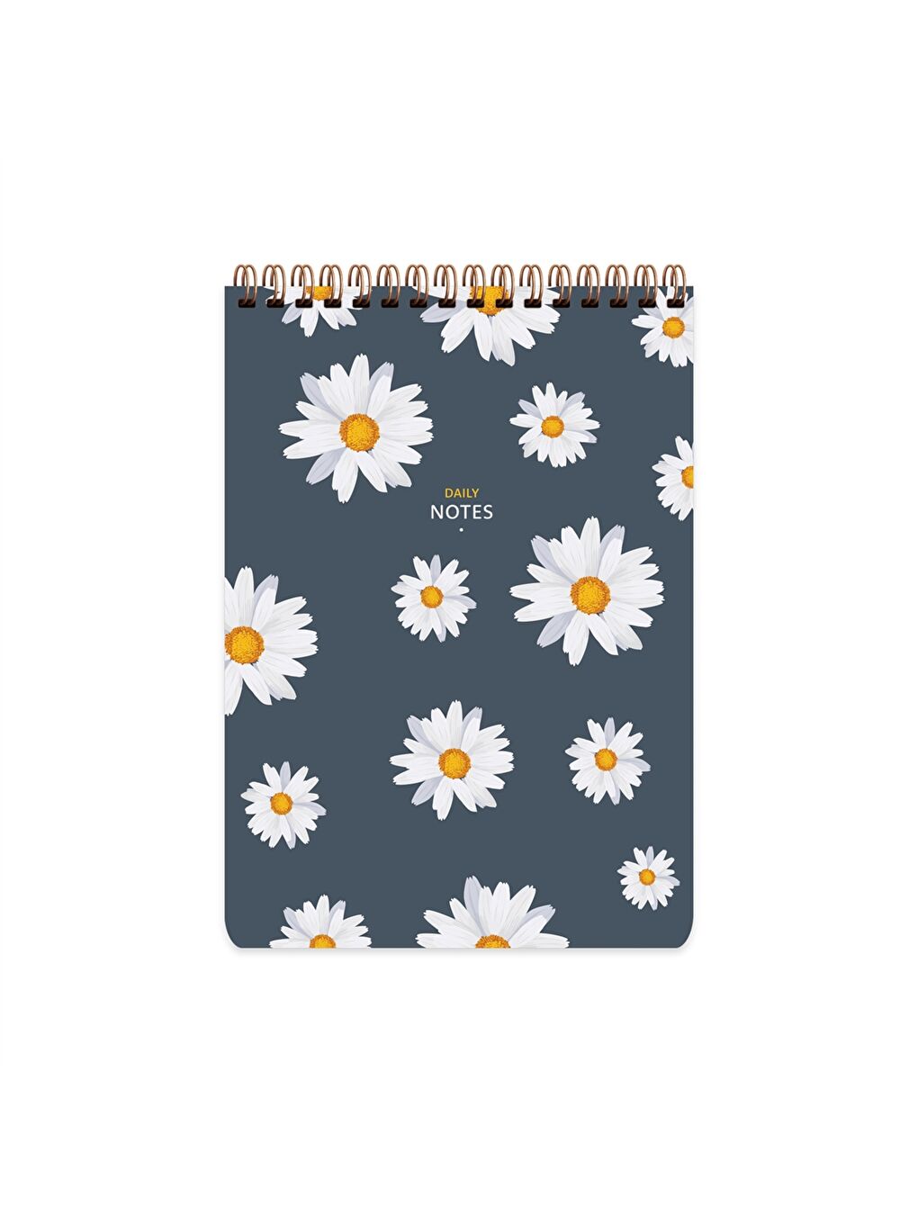 Kareli Spiralli Not Defteri