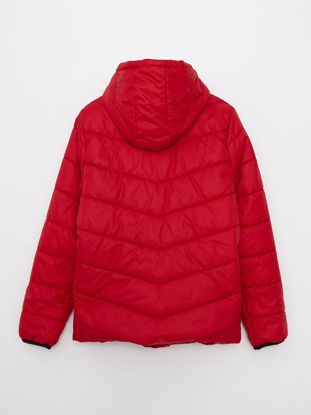 LC Waikiki Hooded Printed Boy Puffer -W20033Z4-HJQ