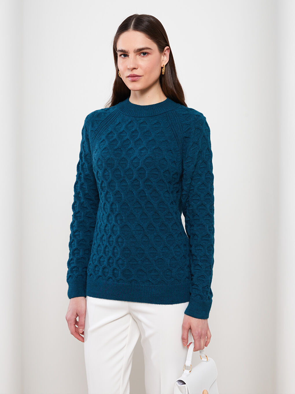 Crew Neck Self Patterned Long Sleeve Women's Knitwear Sweater-1