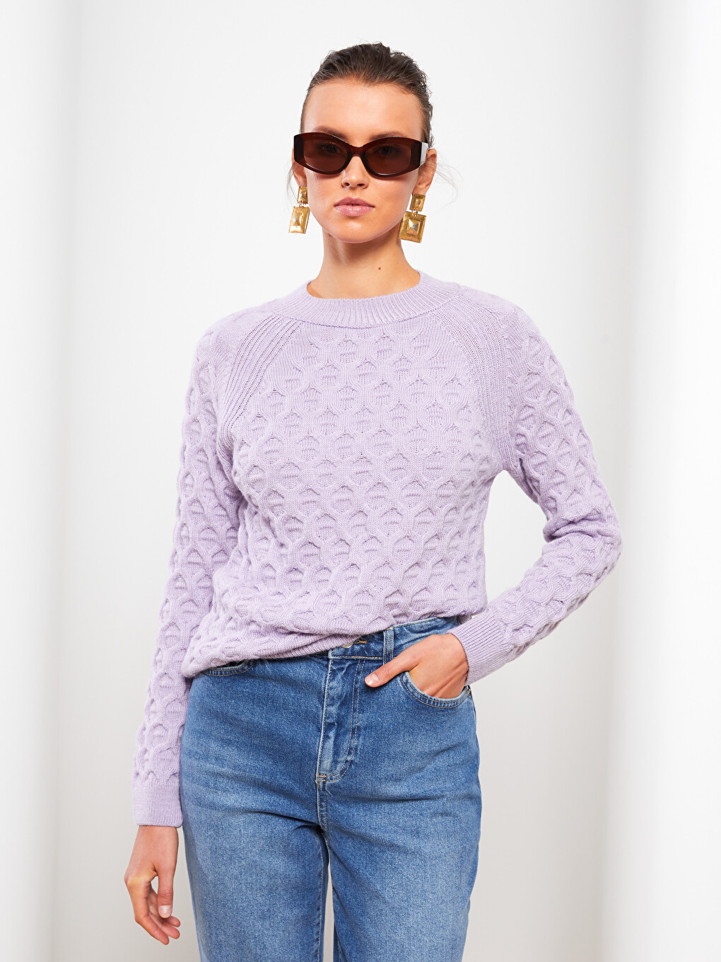 Crew Neck Self Patterned Long Sleeve Women's Knitwear Sweater-2