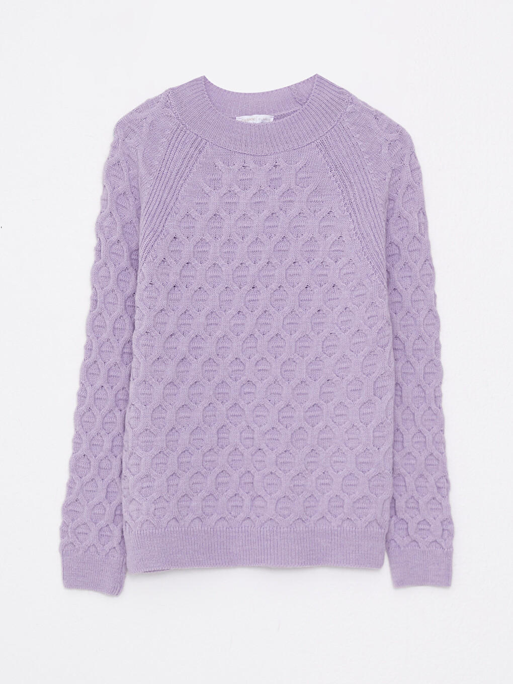Crew Neck Self Patterned Long Sleeve Women's Knitwear Sweater-6