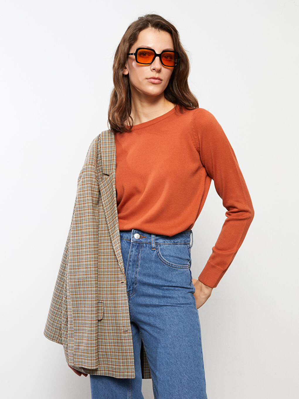 Crew Neck Regular Long Sleeve Women's Jumper