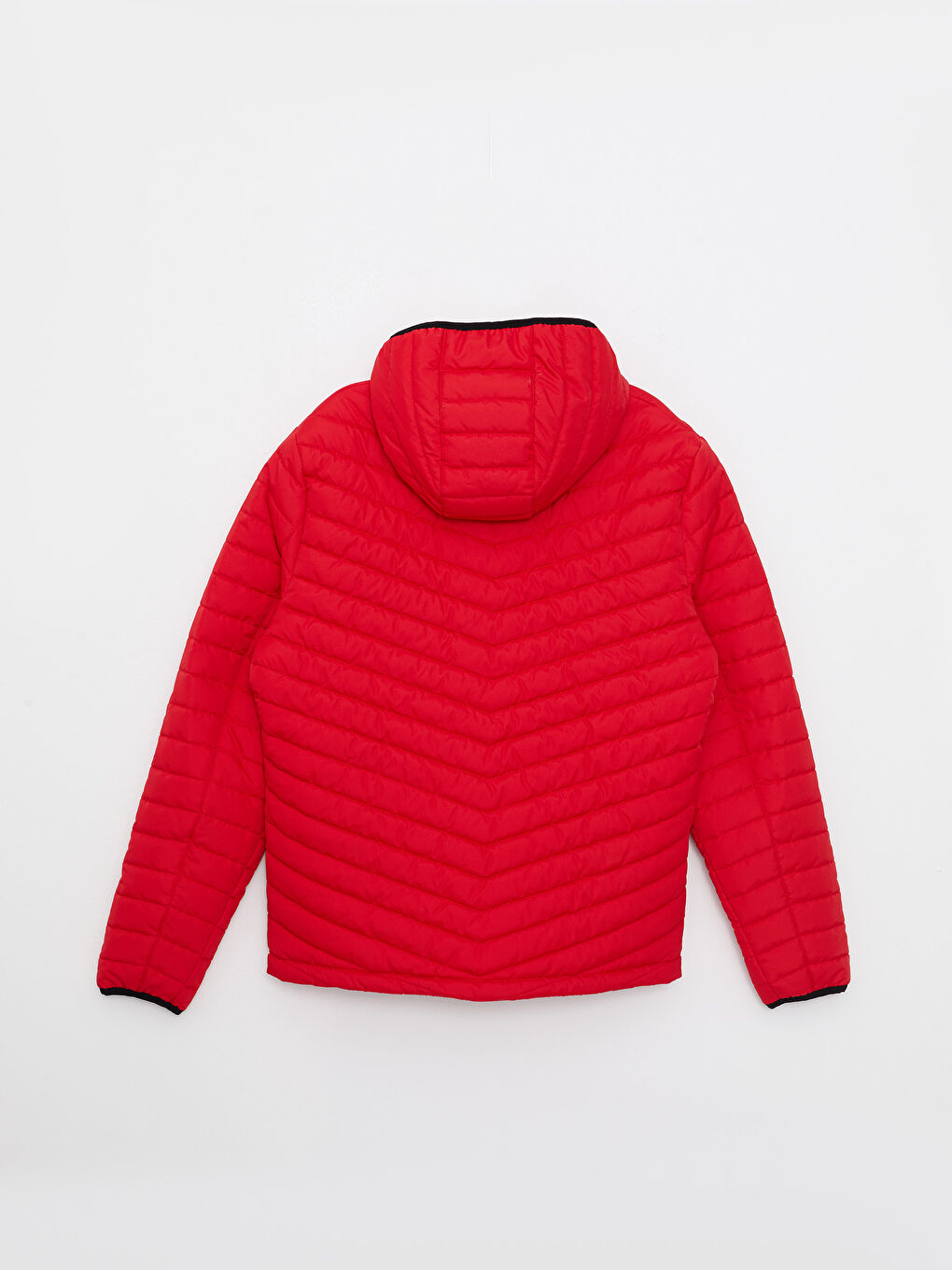 Standard Fit Hooded Men's Puffer Coat-6