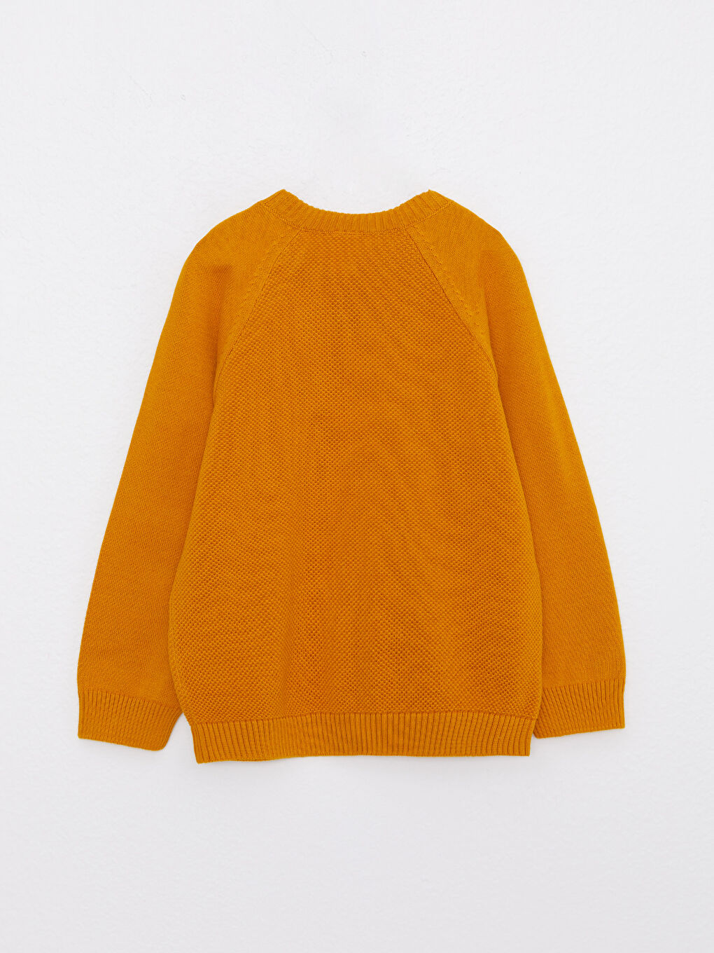 LCW baby Crew Neck Self Patterned Baby Boy Knitwear Sweater -W21143Z1-FFY