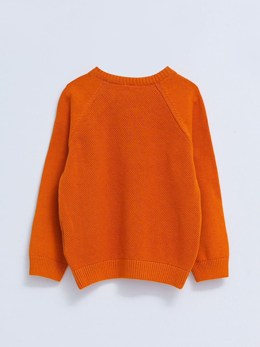 Crew Neck Self Patterned Baby Boy Knitwear Sweater-1