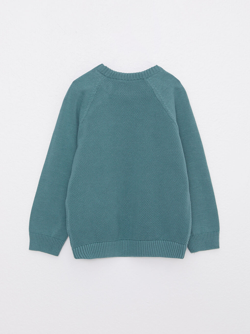 LCW baby Crew Neck Self Patterned Baby Boy Knitwear Sweater -W21143Z1-GTK