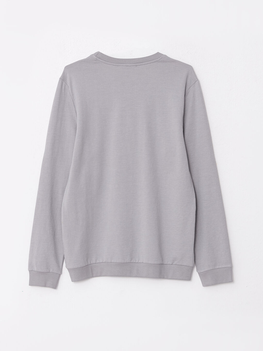 Crew Neck Long Sleeve Printed Men's Sweatshirt-6