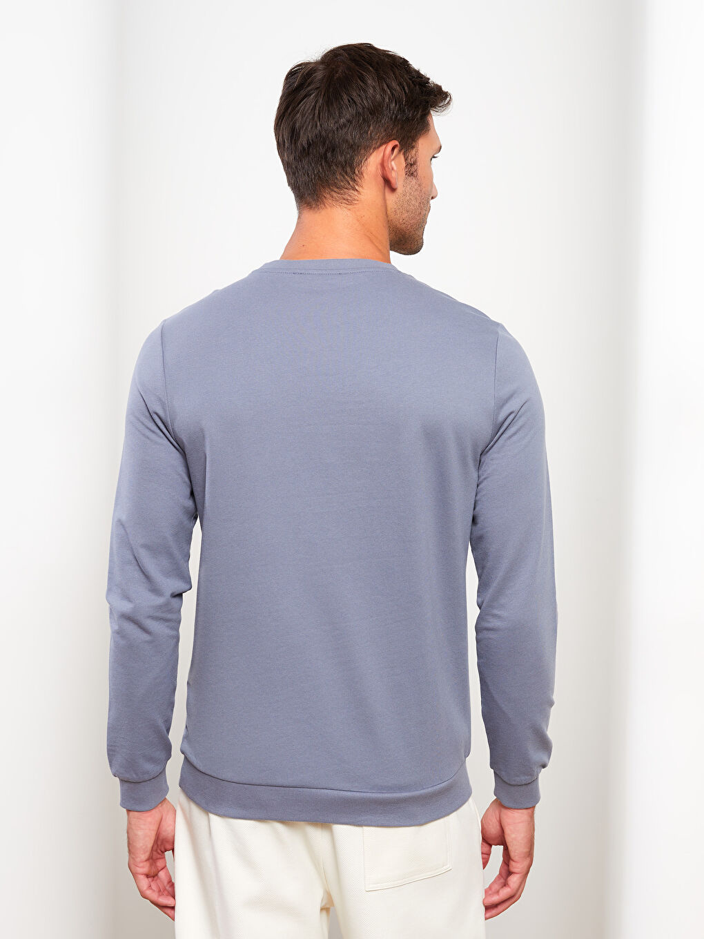 Crew Neck Long Sleeve Printed Men's Sweatshirt-4