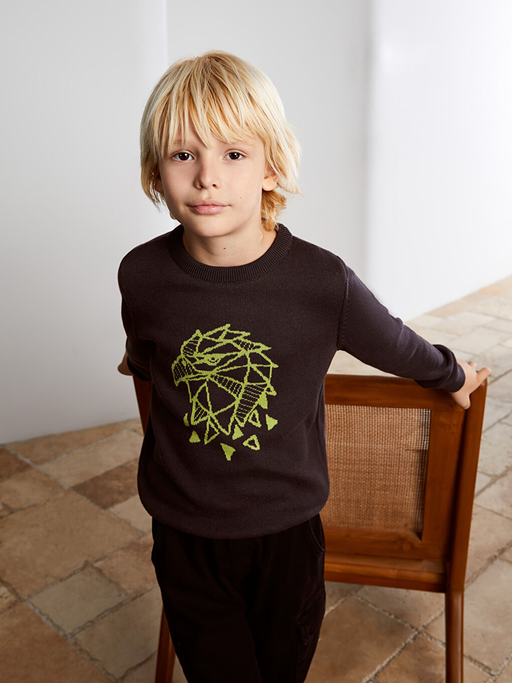 LCW Kids Bisiklet Yaka Baskılı Uzun Kollu Erkek Çocuk Triko Kazak -W22202Z4-HJB