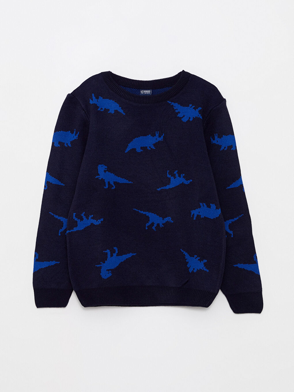 Crew Neck Patterned Long Sleeve Boy Tricot Sweater -W22430Z4-RBY