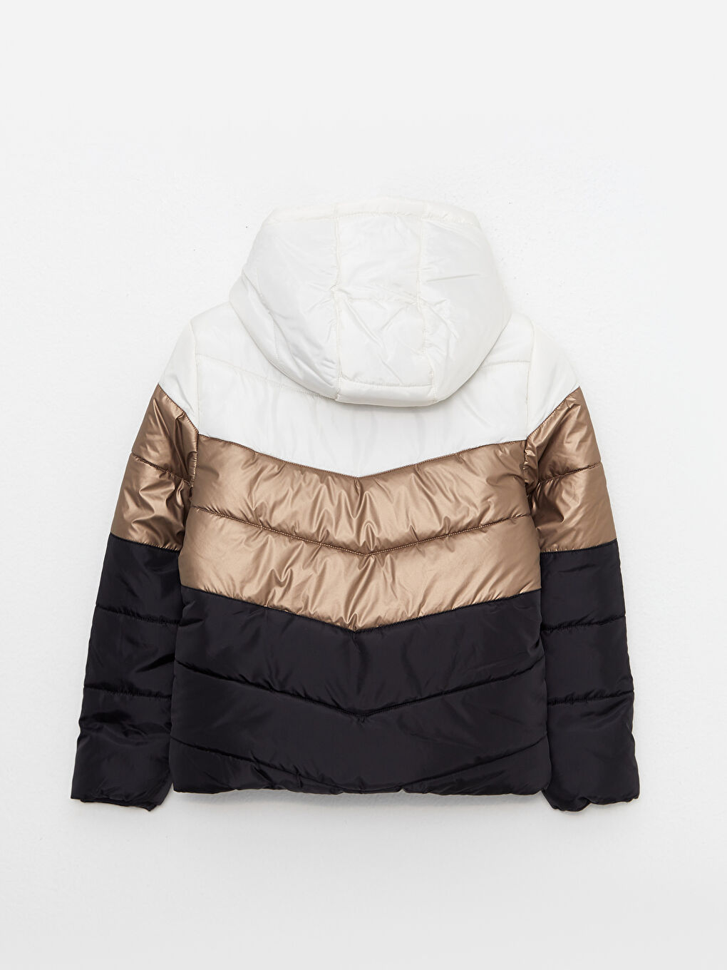 LCW Kids Hooded Boy Puffer with Color Block -W23074Z4-FDH
