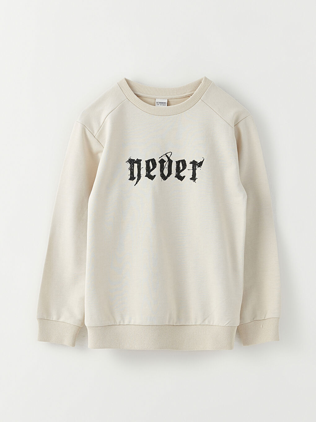 Crew Neck Printed Long Sleeve Boys' Sweatshirt-1