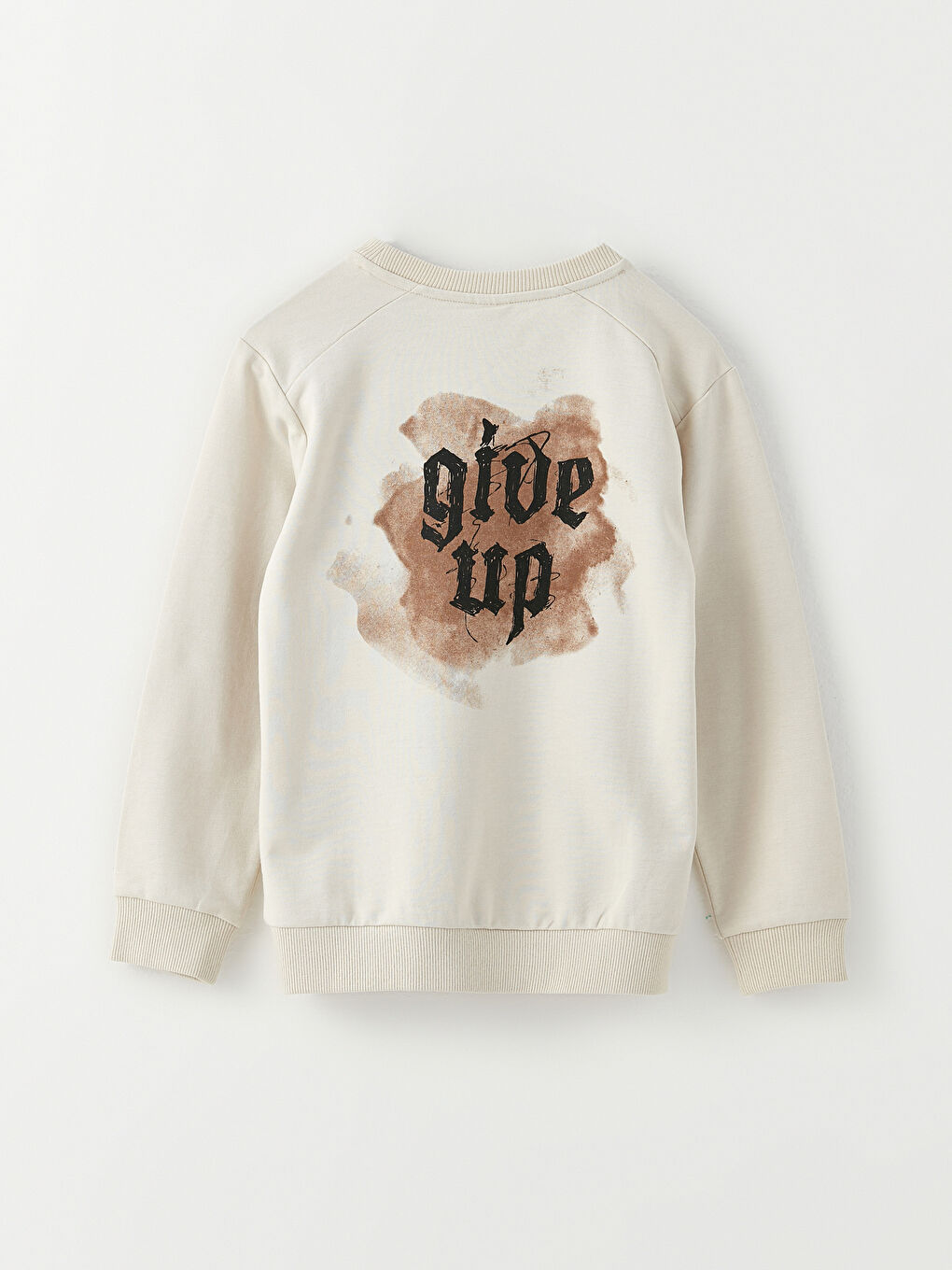 Crew Neck Printed Long Sleeve Boys' Sweatshirt-2