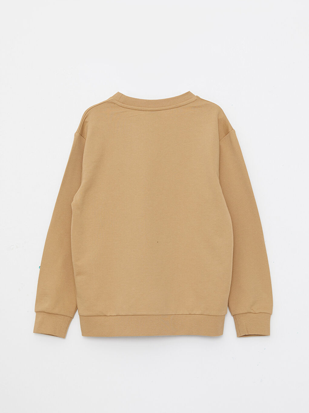 Bej Bisiklet Yaka Basic Uzun Kollu Erkek Çocuk Sweatshirt-1