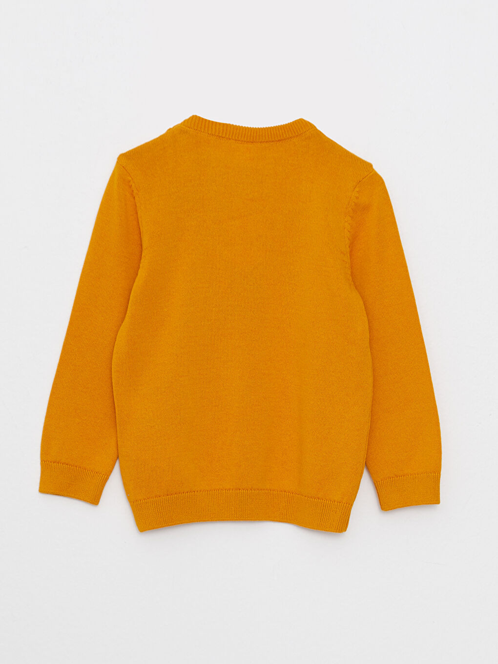 LCW baby Crew Neck Long Sleeve Basic Baby Boy Tricot Sweater -W24565Z1-FFY