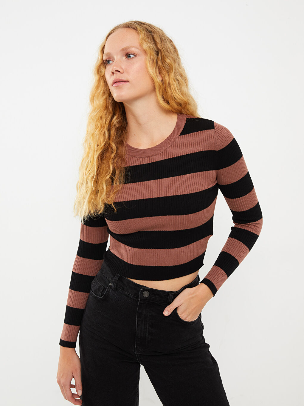 LCW Vision Rundhalsausschnitt Gestreift Langarm Damen Strickpullover -W24651Z8-LEW