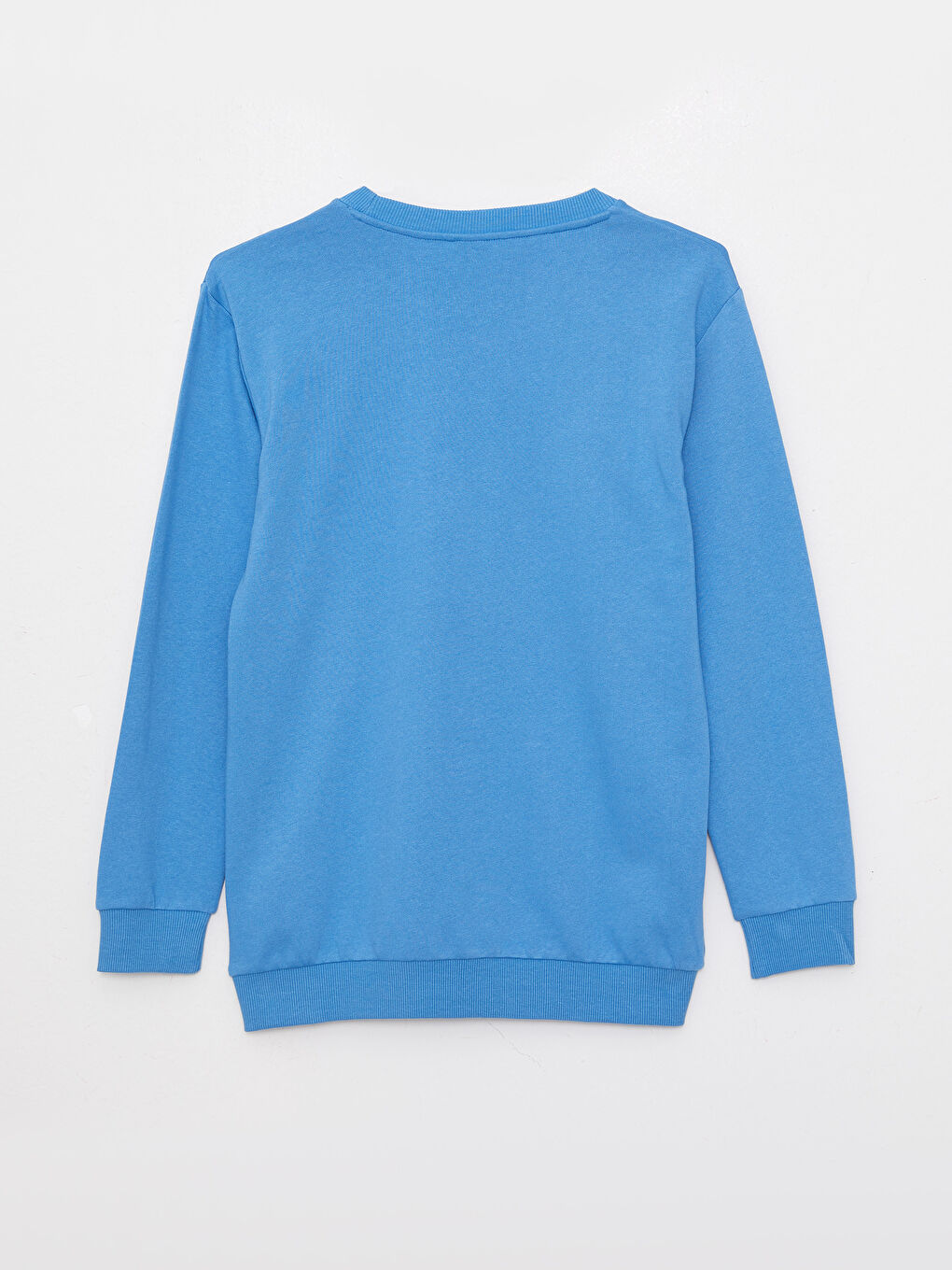 Crew Neck Printed Long Sleeve Boys' Sweatshirt-1