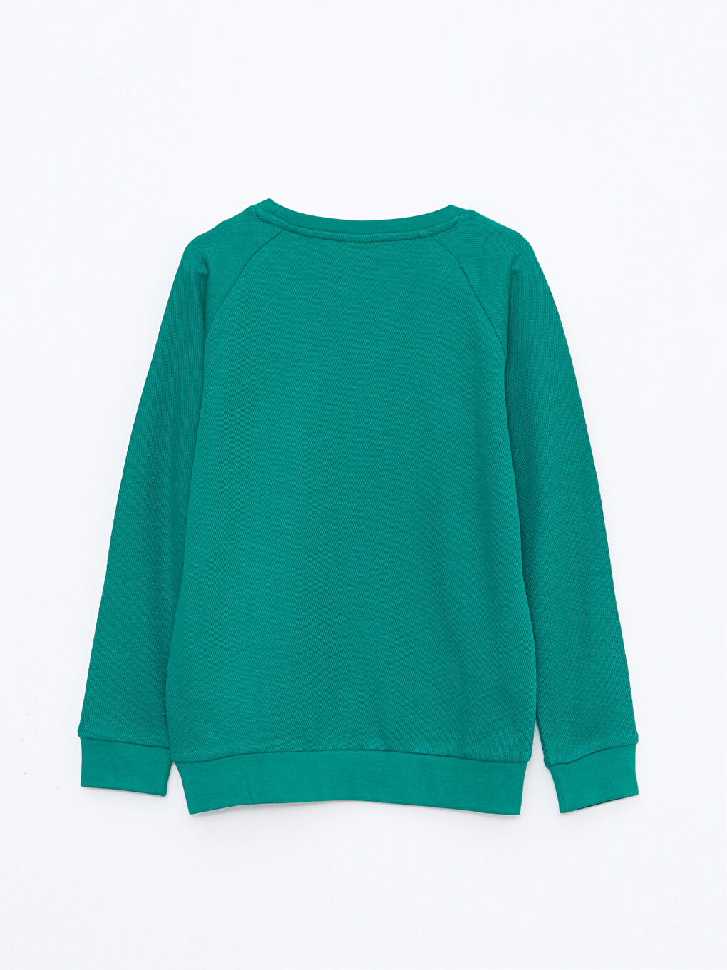 Crew Neck Basic Long Sleeve Boys' T-Shirt-1