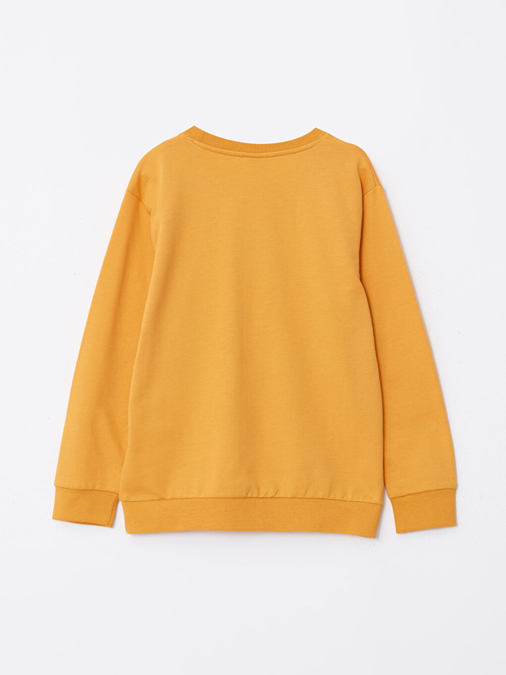 LCW Kids Bisiklet Yaka Baskılı Uzun Kollu Erkek Çocuk Sweatshirt -W26112Z4-FGJ