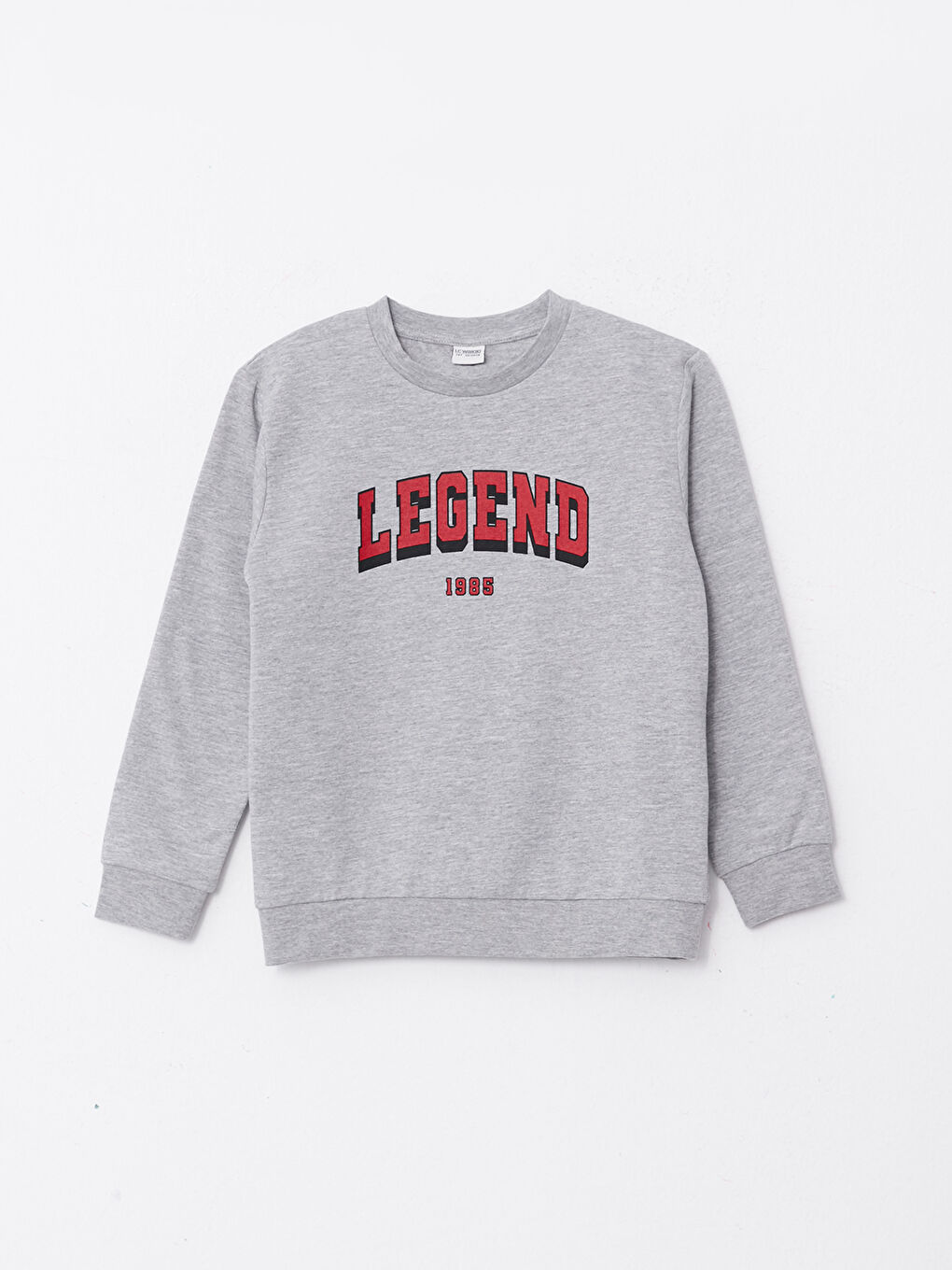 LC Waikiki Crew Neck Printed Long Sleeve Boys' Sweatshirt and Tracksuit Bottoms -W26114Z4-LAL