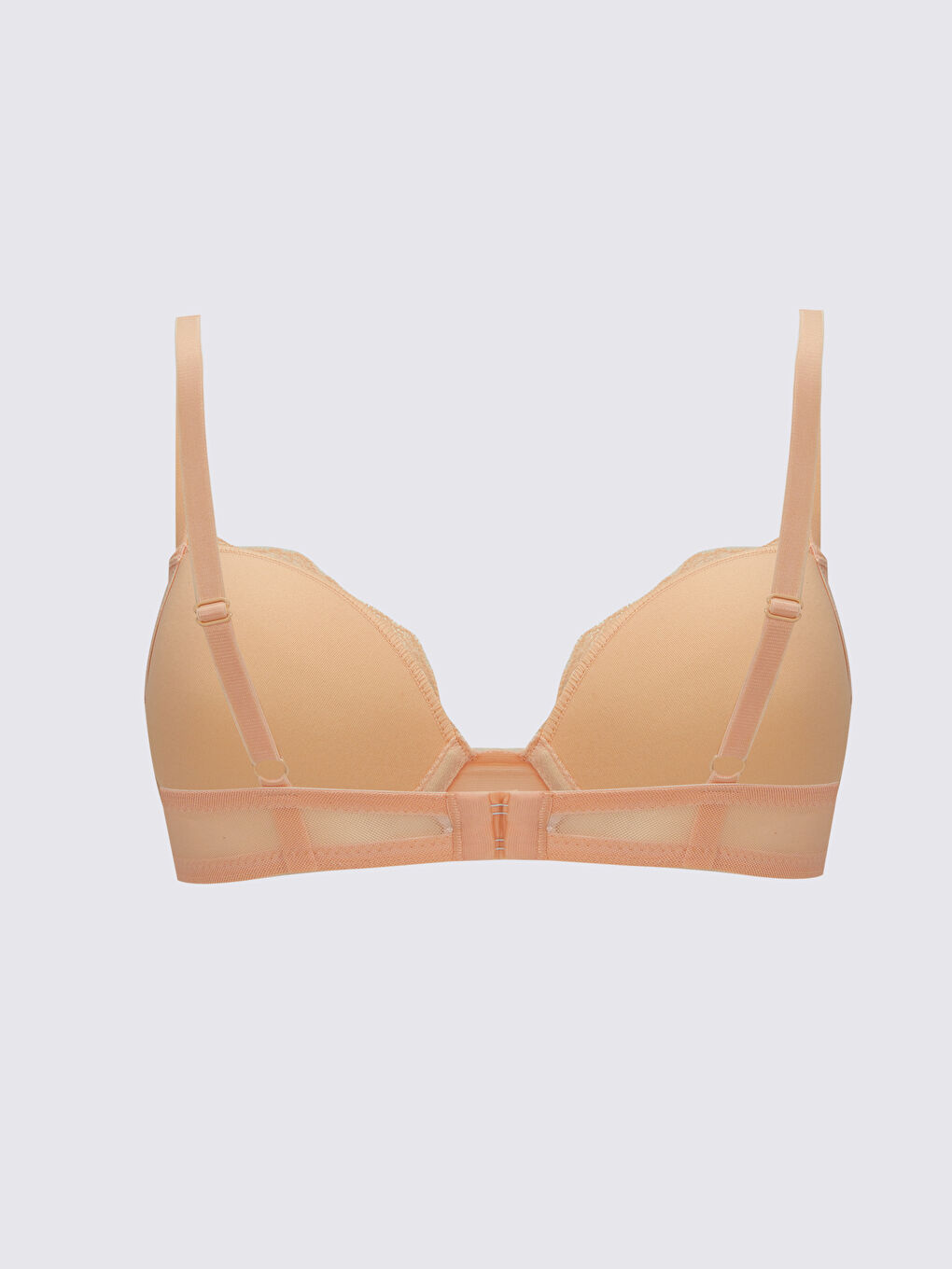LCW DREAM Petite Underwire Unfilled Lace Bra -W26162Z8-G8X