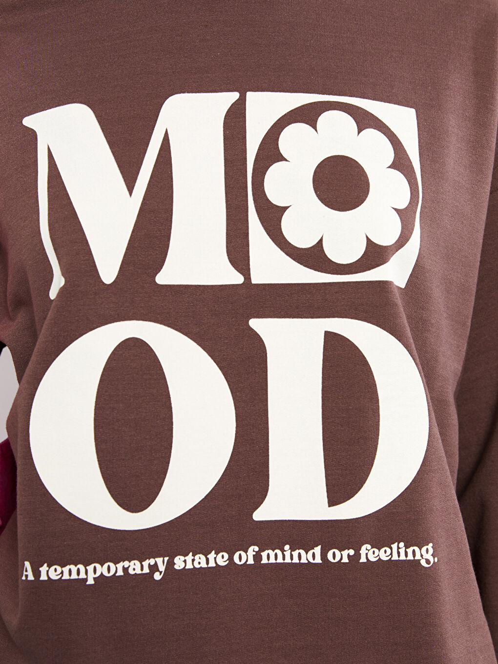 Crew Neck Printed Long Sleeve Women's Sweatshirt-3