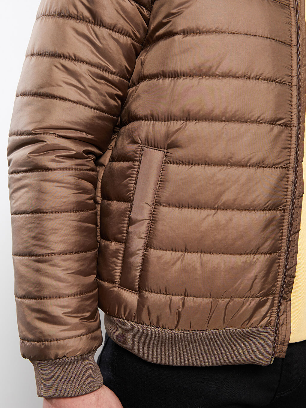 Standard Fit College Neck Men's Puffer-3