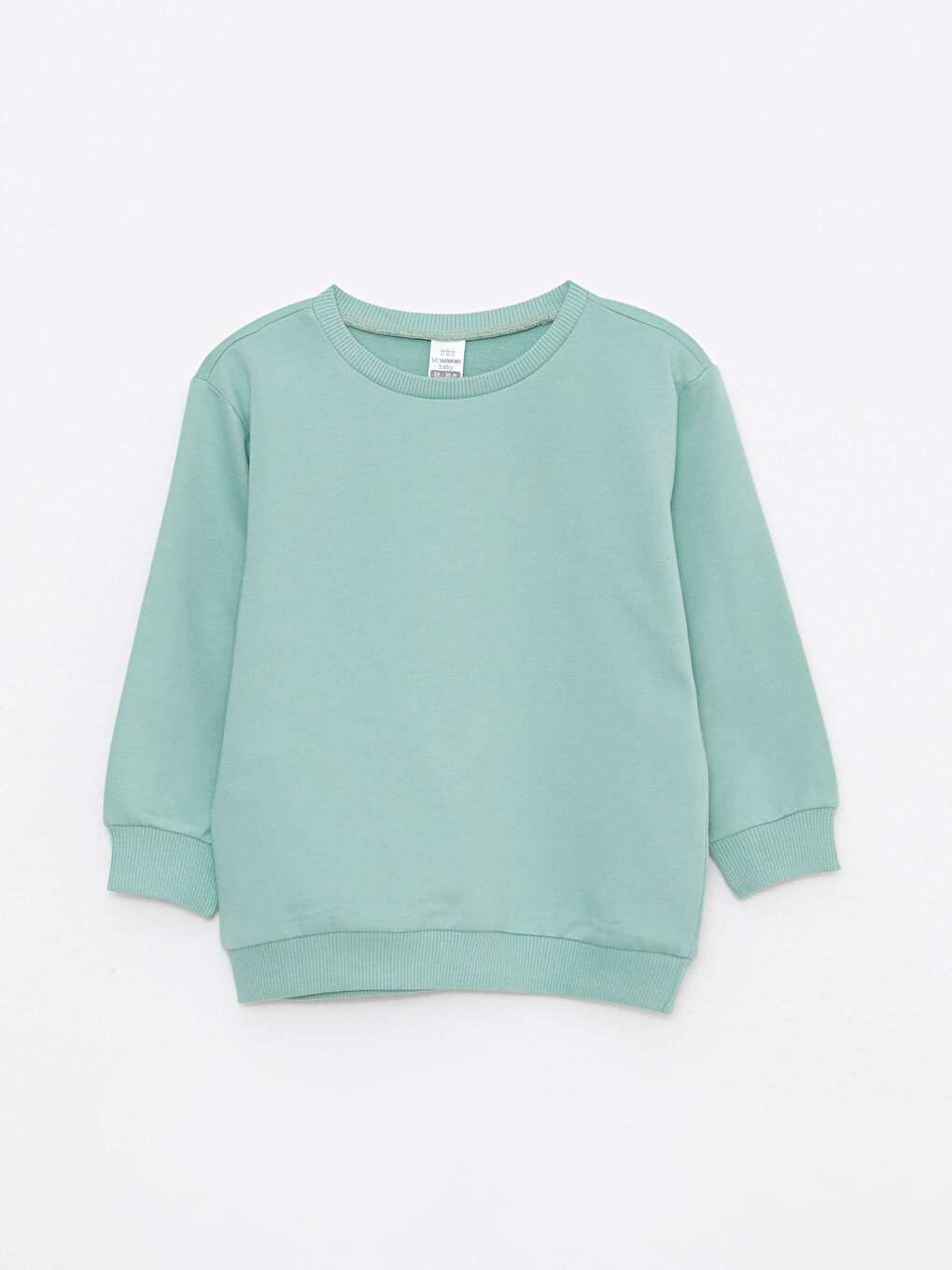 Crew Neck Long Sleeve Boys' Sweatshirt