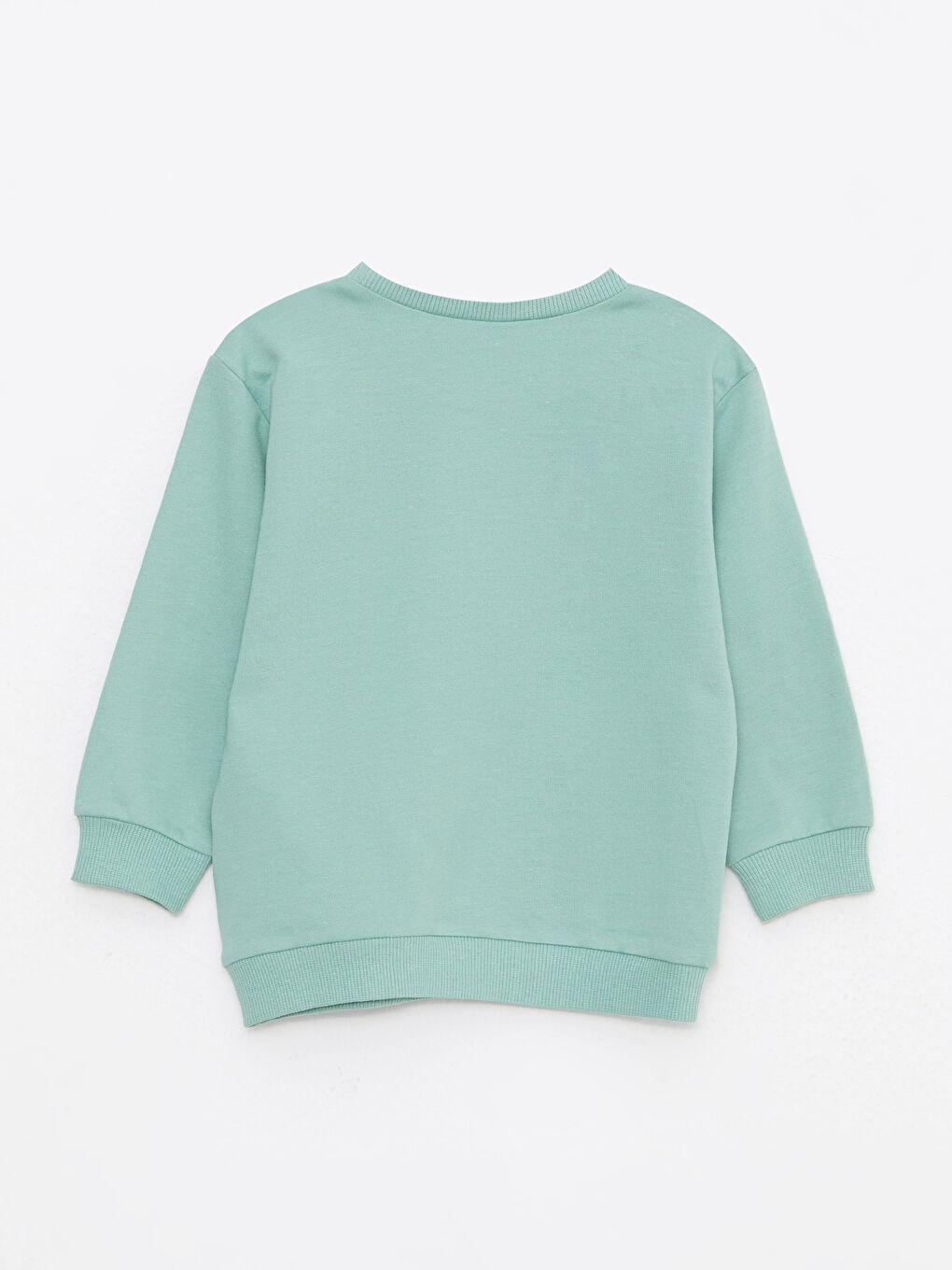 Crew Neck Long Sleeve Boys' Sweatshirt-1