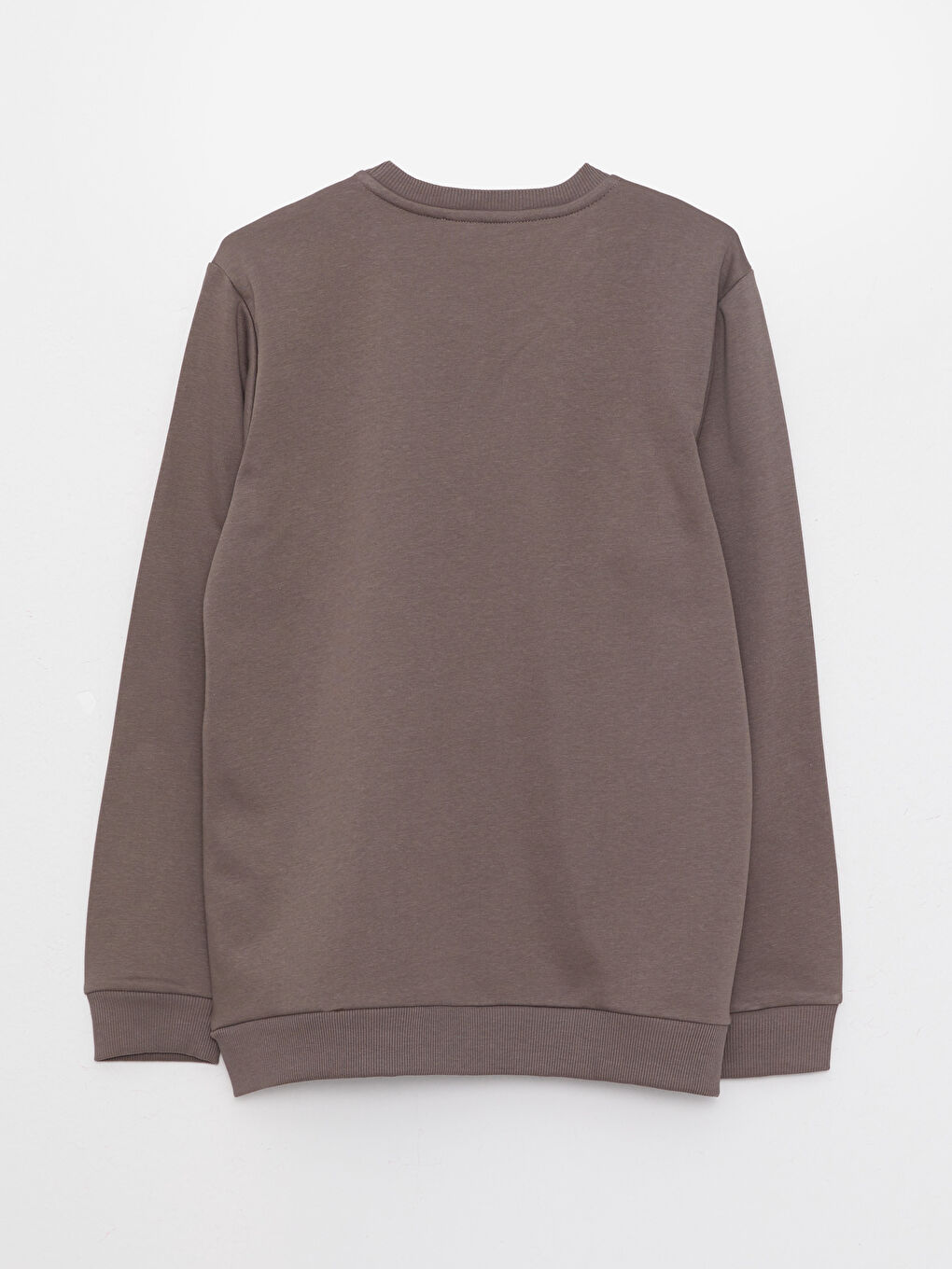 Crew Neck Long Sleeve Men's Thick Sweatshirt-6
