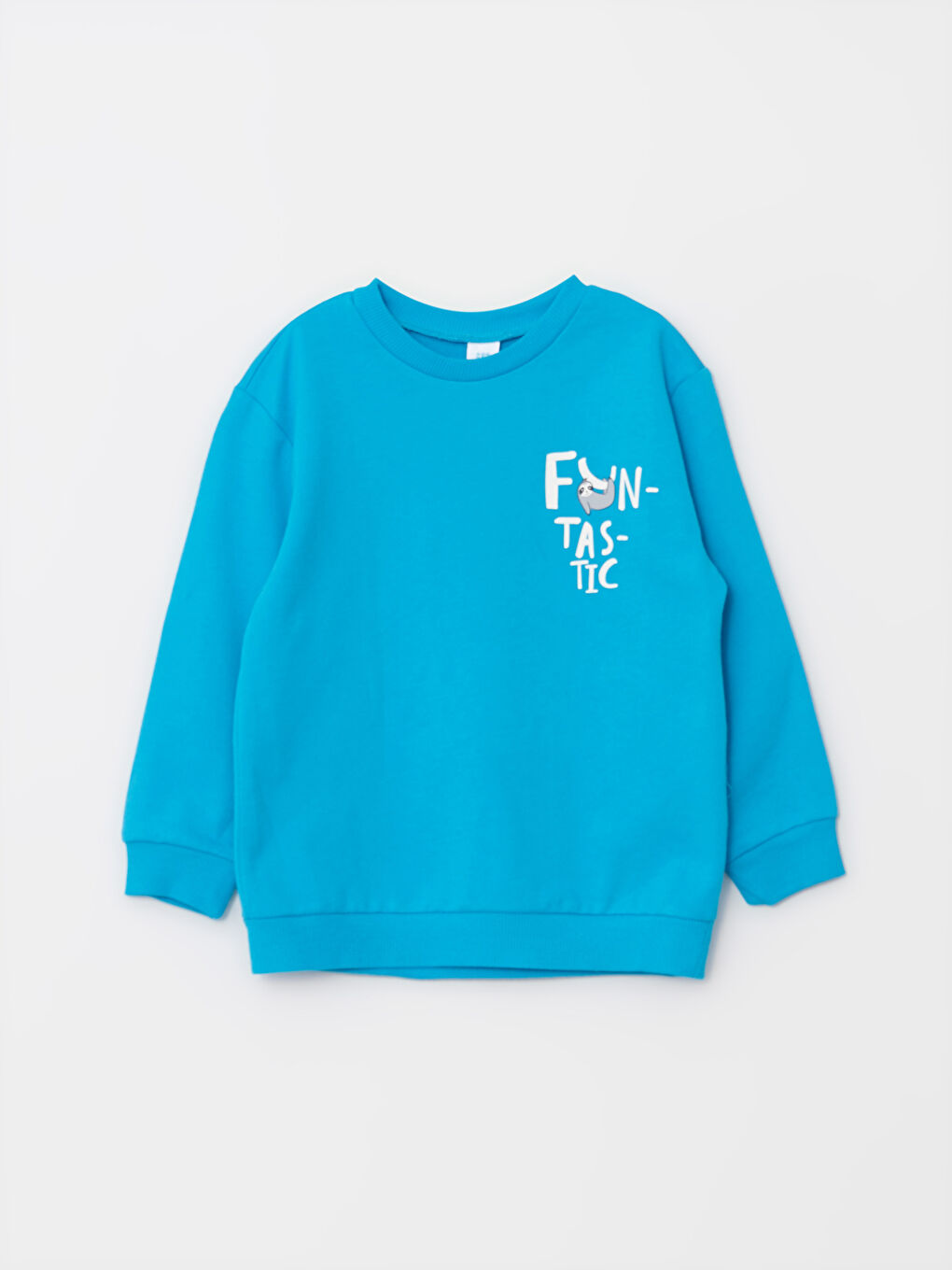 Crew Neck Long Sleeve Printed Baby Boys' Sweatshirt