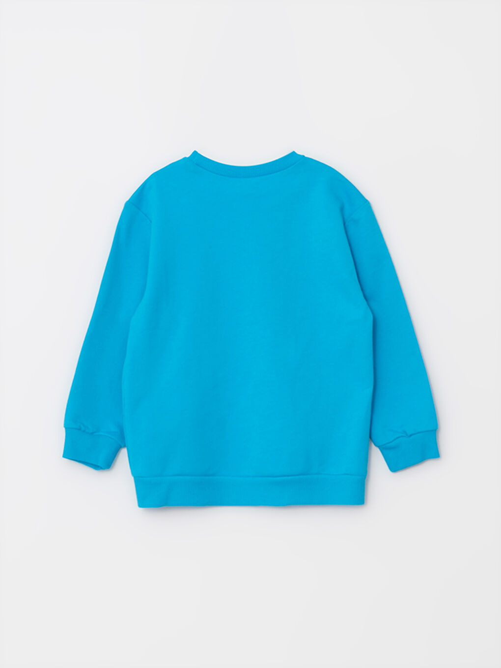 Crew Neck Long Sleeve Printed Baby Boys' Sweatshirt-1