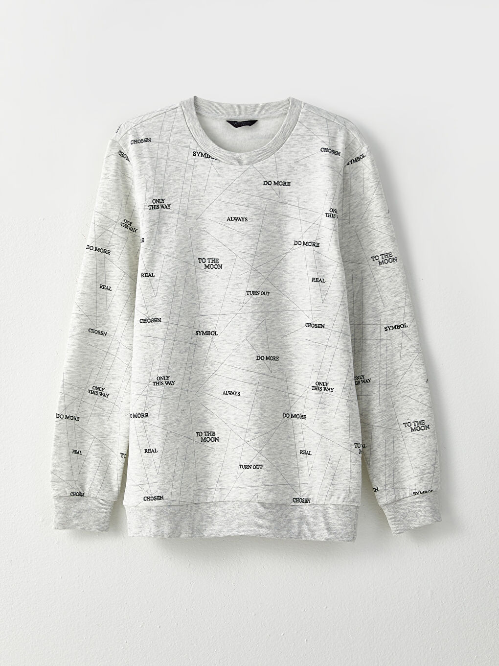 Crew Neck Printed Men's Thick Sweatshirt-5
