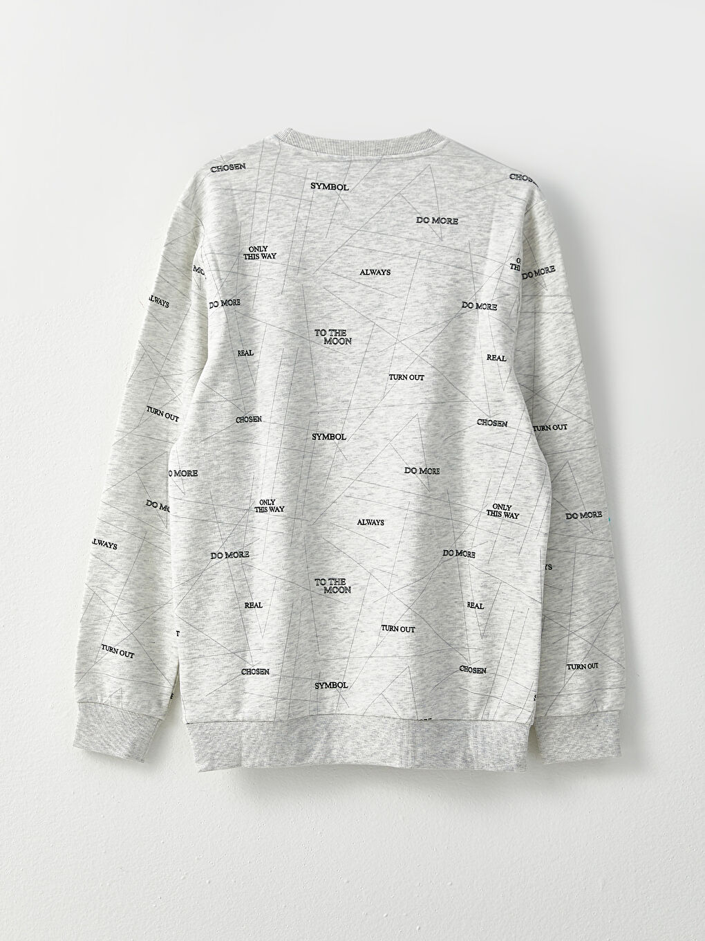 Crew Neck Printed Men's Thick Sweatshirt-6