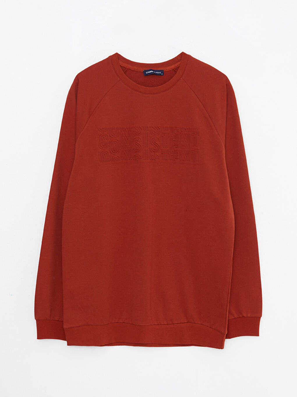 Crew Neck Long Sleeve Printed Men's Sweatshirt-5