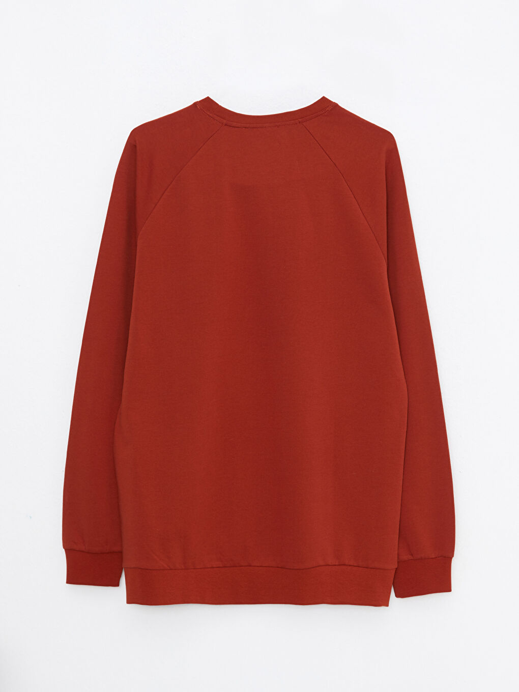 Crew Neck Long Sleeve Printed Men's Sweatshirt-6