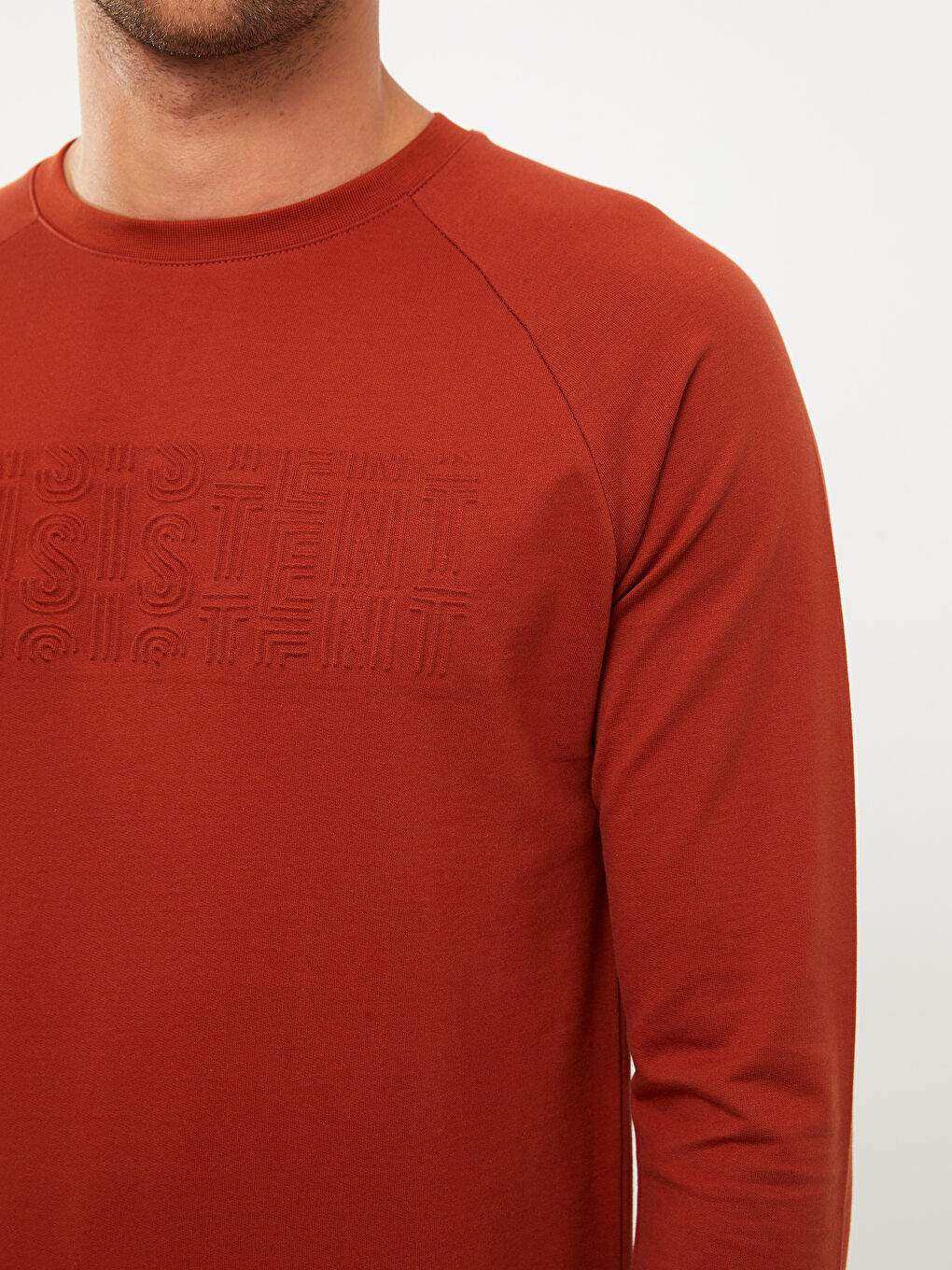Crew Neck Long Sleeve Printed Men's Sweatshirt-3