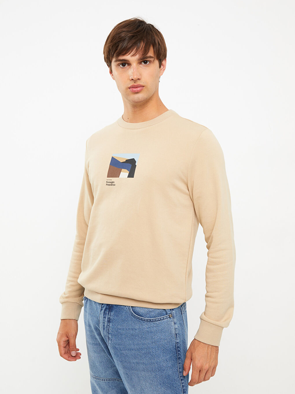 LCW Casual Bej Bisiklet Yaka Uzun Kollu Baskılı Erkek Sweatshirt - 1