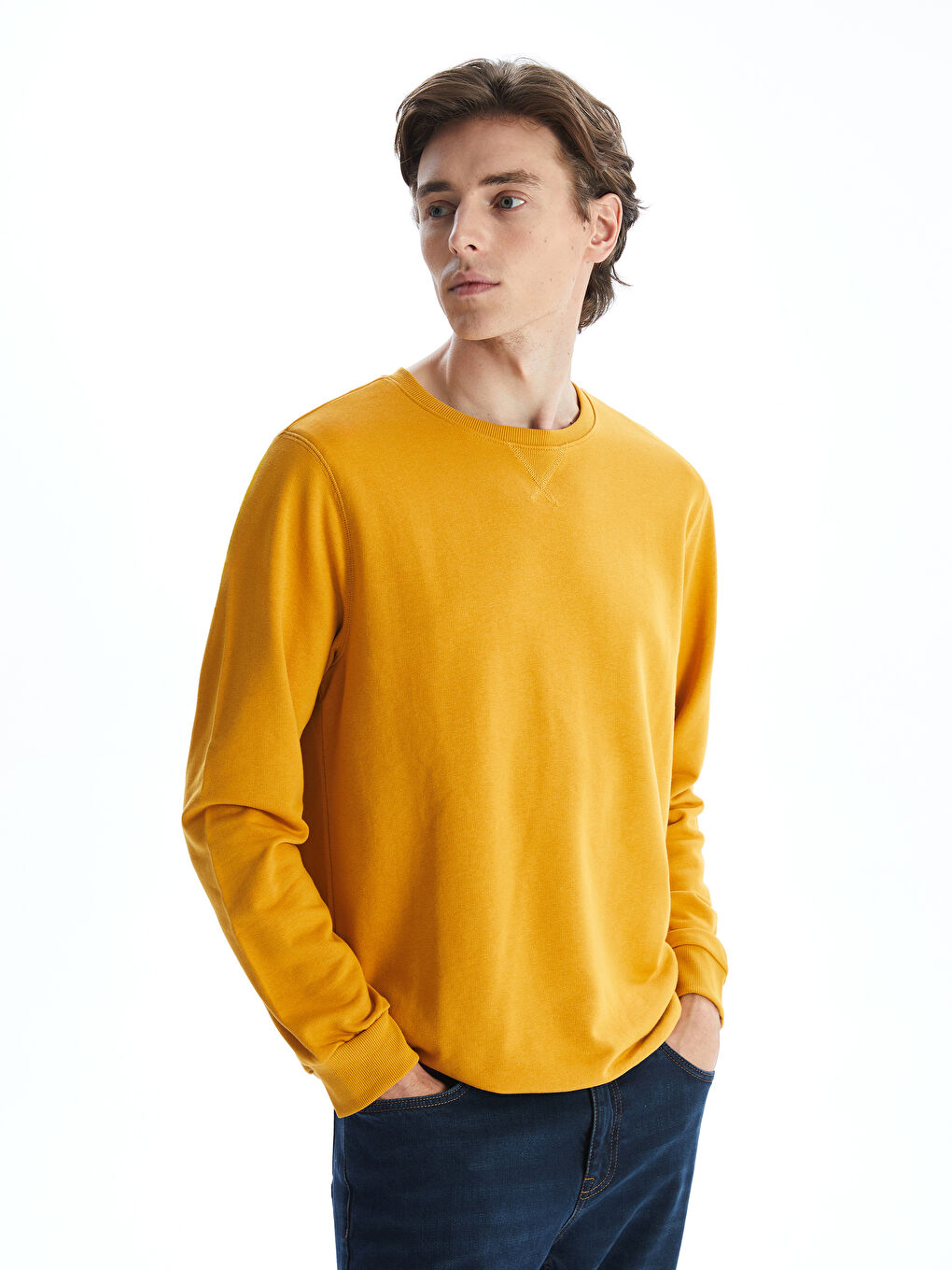Crew Neck Long Sleeve Men's Sweatshirt